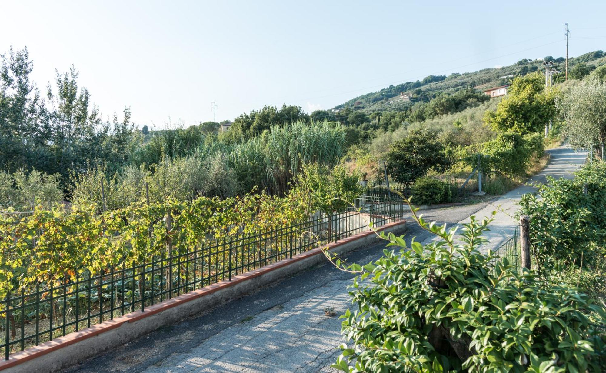Fuga In Toscana Borgo a Buggiano Dış mekan fotoğraf