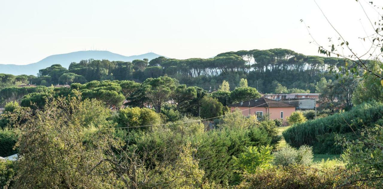 Fuga In Toscana Borgo a Buggiano Dış mekan fotoğraf